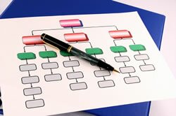 Organization Chart